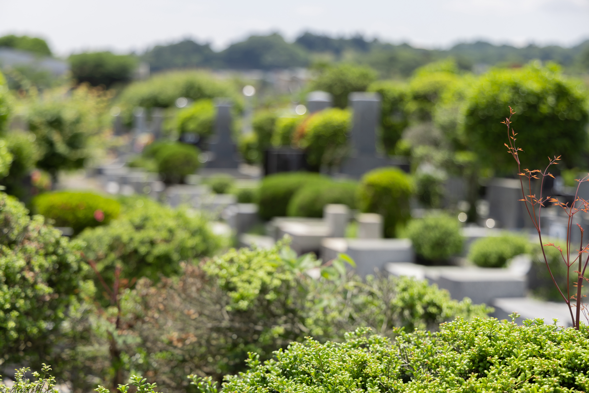 愚かな埋葬 遊戯王】 おろかな埋葬 RC02/コレレア の通販 - カーナベル