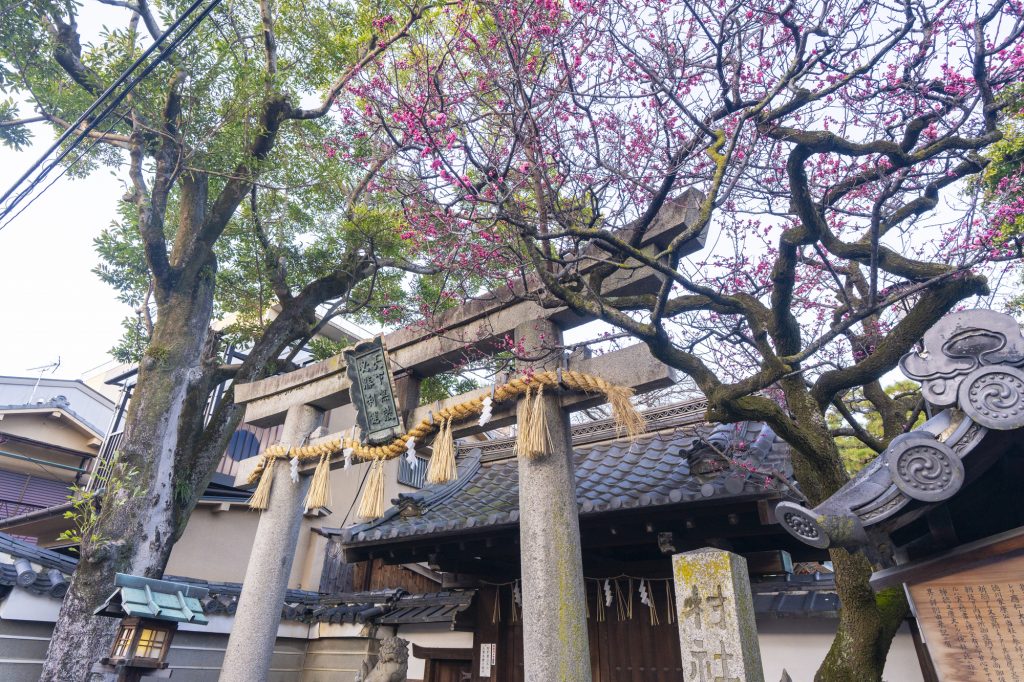 神社とお寺の違いを分かりやすく解説 | 格安葬儀社「小さいわが家のお